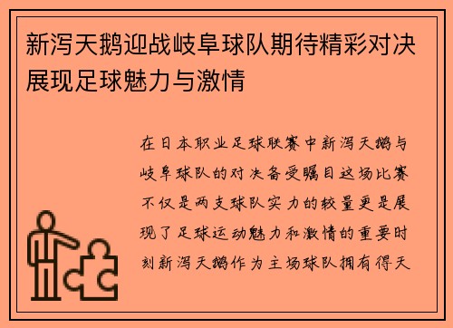 新泻天鹅迎战岐阜球队期待精彩对决展现足球魅力与激情