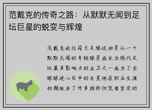 范戴克的传奇之路：从默默无闻到足坛巨星的蜕变与辉煌